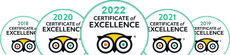 cert-excellence-2022