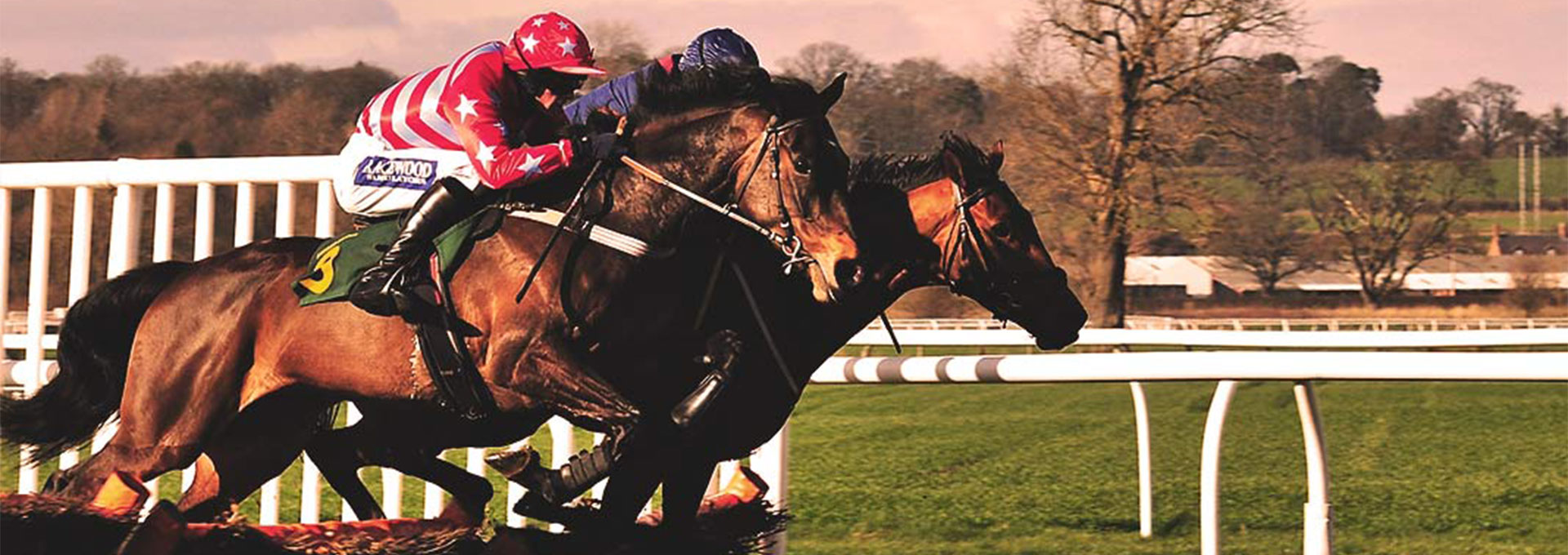 steeplechase-hero-desktop